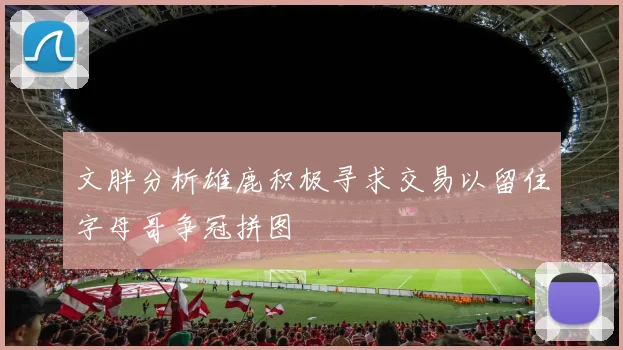 文胖分析雄鹿积极寻求交易以留住字母哥争冠拼图