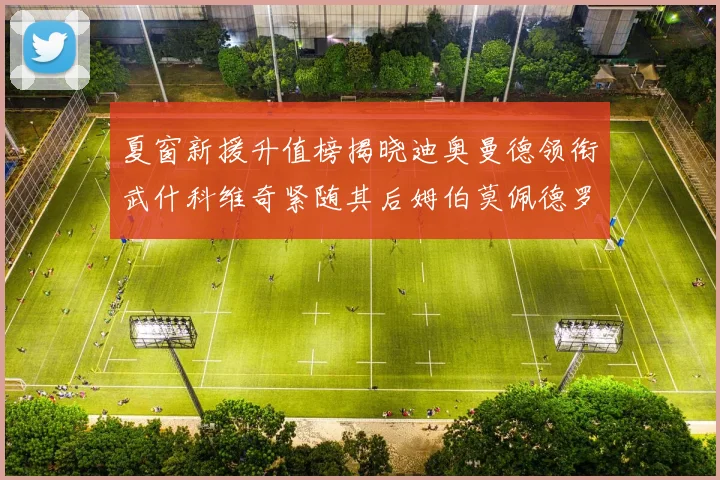 夏窗新援升值榜揭晓迪奥曼德领衔武什科维奇紧随其后姆伯莫佩德罗表现抢眼